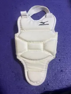 Mizuno 空手防具 胴当てSサイズ プロテクター ミズノ子供用胴