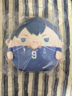 ハイキュー!! くじメイト C賞 影山