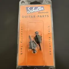 Item thumbnail for item b2967e0b-d56a-43fb-88da-68da013f695a