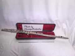 Item thumbnail for item 4e6b39b2-14d2-4aea-9ec8-cd666a81f8a9