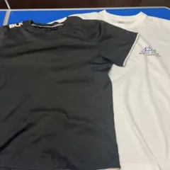 Item thumbnail for item 702d480f-33ab-445a-9a36-d60283e35e10