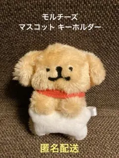 Item thumbnail for item e80da40c-0497-44e8-ae4c-2073bebdeb1b