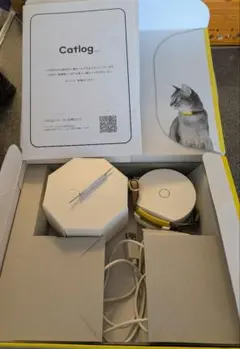 Item thumbnail for item 48546843-fa83-443b-be27-bde8e6670ddc