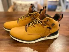 Item thumbnail for item 0e2001ce-7075-4cf7-aa33-ba040c41118e