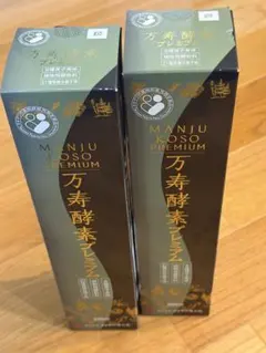 만주 엔자임 프리미엄 500ml 2병