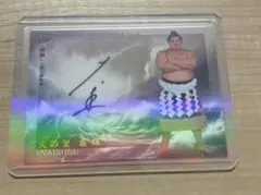 2026年最新】大の里 サインカードの人気アイテム - メルカリ