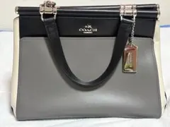 COACH ショルダーバッグ ハンドバッグ