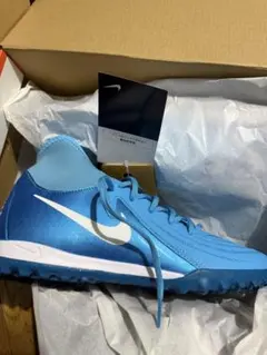 Nike ライトブルー トレーニングシューズ