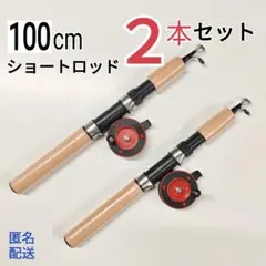 ２本セット、100cmコンパクトロッドとリールのセット　ショートロッド　短竿のサムネイル
