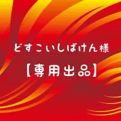 どすこいしばけん様 リクエスト 3点 まとめ商品