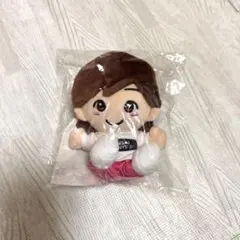 なにわ男子 道枝駿佑 ちびぬい 第1弾