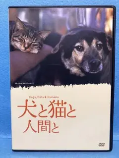 犬と猫と人間と('09映像グループ ローポジション)