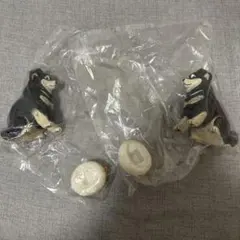 Item thumbnail for item 98c02d34-fb32-4ac2-bc69-a9155302cfb0