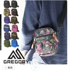 GREGORY クイックポケット M ショルダーバッグ