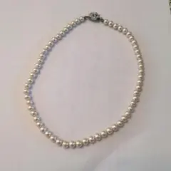 Item thumbnail for item 7df218e2-6355-4de5-8c2b-80a783898145