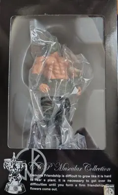 究極限定第7弾 CCP×フィギュア王 キン肉マンソルジャー 原作カラーver