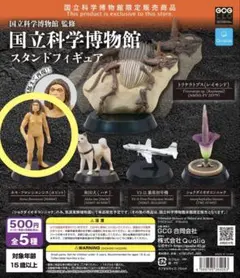 国立科学博物館　オリジナル標本アクリルスタンド全10種セット　コンプリート 2026年最新】国立科学博物館の人気アイテム - メルカリ