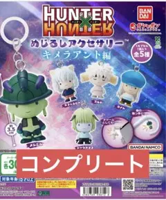 HUNTER × HUNTER めじるしアクセサリー キメラアント コンプリート