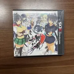 閃乱カグラ -少女達の真影-
