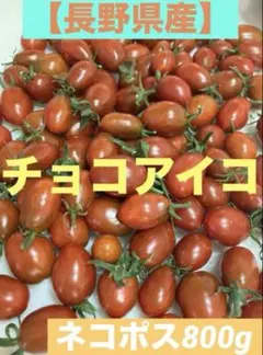 長野県産　ミニトマト　チョコアイコのサムネイル