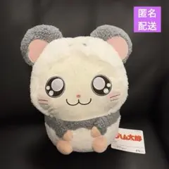 트토코 햄 타로 팬더 씨 BIG 봉제 인형 신품 태그 첨부 팬더군
