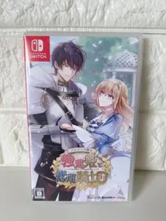 テミラーナ国の強運姫と悲運騎士団 通常版 Switch版