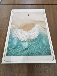 ※要本文確認 iPad Pro Wi-Fi64GB ゴールド
