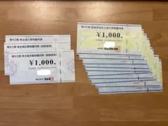 ビックカメラ コジマ 株主優待 13,000円 株主優待券
