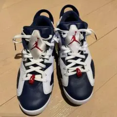 NIKE AIR JORDAN 6 RETRO LOW GOLF 27.5cm