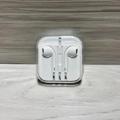 Apple　イヤホン　有線　ケース付き
