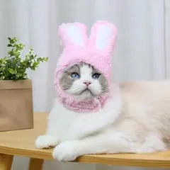 Item thumbnail for item c2781b62-0c13-433a-bf0d-7ceee0eeca60