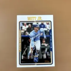 Item thumbnail for item 2217a3d0-0c92-4c51-812c-2b942d2daeb4