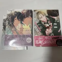 BL まとめ売り コミック 漫画 2冊