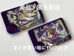ポケモンフレンダ　ベストタッグ1弾　ソルガレオ　ルナアーラ　スーパートレジャー