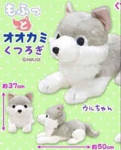 新品タグ付き　もふっとオオカミくつろぎ　BIGぬいぐるみ　ウルちゃん