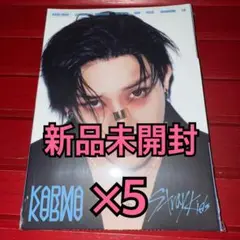 straykids アルバム KARMA 新品未開封 バンチャン ×5 ①