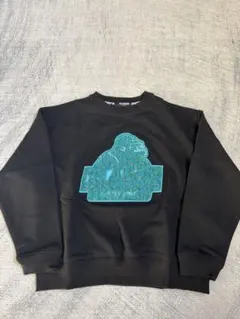 新品未使用　XLARGE KIDS グラフィックトレーナー　110cm