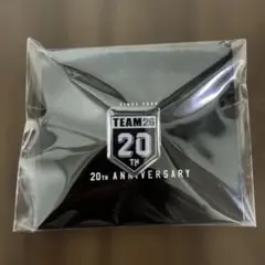 千葉ロッテマリーンズTEAM 26 20th ANNIVERSARY ピンバッジ