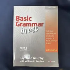 Basic Grammar in Use