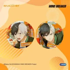 WIND BREAKER ウィンドブレイカー 缶バッジ4個セット 桜遥&蘇枋隼飛