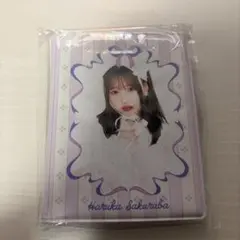 CUTIE STREET 桜庭遥花　PiKi チェキファイル