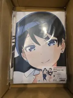 【未開封】さっちゃん 抱き枕カバー 脱衣版 富士浅間堂 mono 雨宮さつき 未開封】さっちゃん 抱き枕カバー 脱衣版 富士浅間堂 mono 雨宮さつき