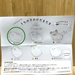 犬のけだまだま　うちの子のけだまだま