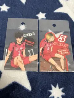 ハイキュー