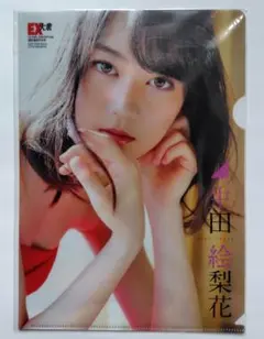 生田絵梨花(乃木坂46) クリアファイル EX大衆 2016年1月号付録