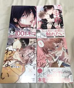 BLコミック ボーイズラブ まとめ売り 商業bl バラ売り〇 ①