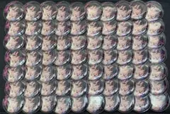 あんさんぶるスターズ 蓮巳敬人 イベコレ缶バッジ 2021 AUTUMN 70点