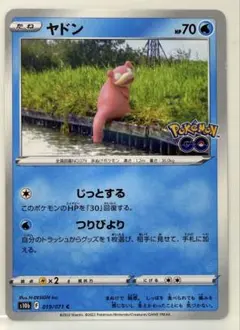 야돈 C S10b Pokémon GO 019/071 じっとする