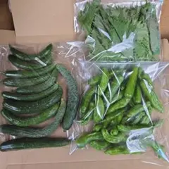夏野菜詰め合わせ(ネコポスサイズ)のサムネイル