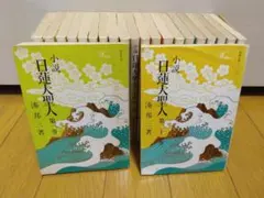 貴重】小説 日蓮大聖人 湊邦三 全22巻セット 聖教文庫 - メルカリ